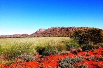 Nationals' push for Western Australian rangelands legislation reform fails